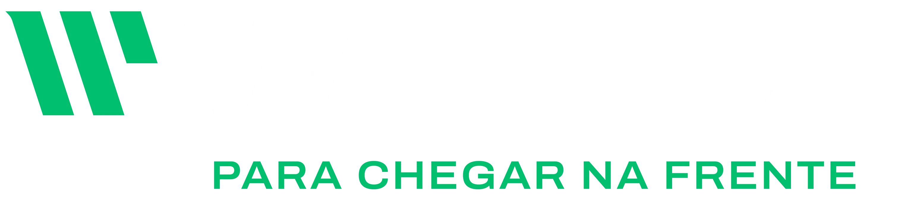 Wendt Componentes Automotivos